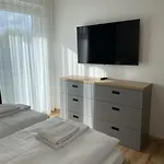 Male Lipno 225-7 Lipno Apartman
